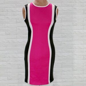 VIVIAN SHYU Dress Colorblock Sheath Stripe Pink Black White Casual Summer Medium